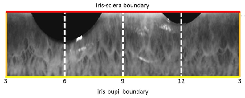 Iris boundary